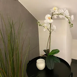 Eine Schoene An Der Birs Appartement Bazel